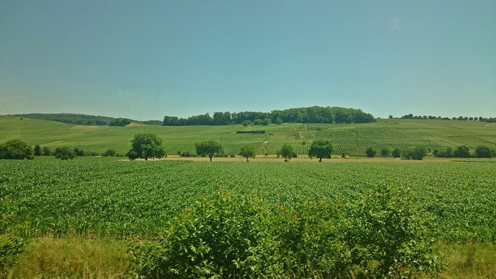 Landschaft im Rheintal bei Offenburg